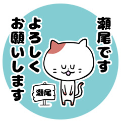 [LINEスタンプ] 「瀬尾さん」の猫スタンプ