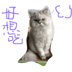 [LINEスタンプ] cat＆dog＆＆