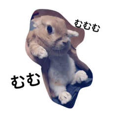 [LINEスタンプ] うさぎのメロディー