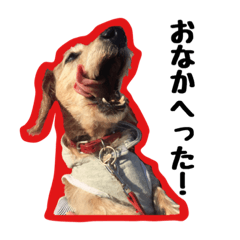 [LINEスタンプ] ワイヤーダックスのシフォンさん