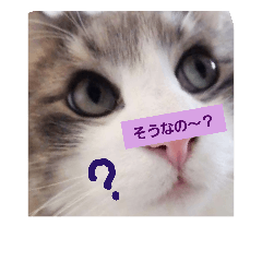 [LINEスタンプ] NEKO-nyans 3