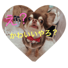 [LINEスタンプ] ツンデレわんこ姫