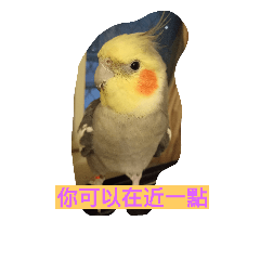 [LINEスタンプ] bird-cooper