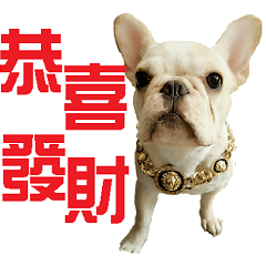 2018 HAPPY CHINA DOG YEAR