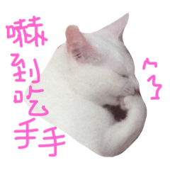 [LINEスタンプ] white cats supe