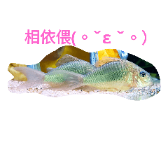 [LINEスタンプ] useful and cute corydora pictures part 1