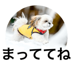 [LINEスタンプ] ドックファミリー