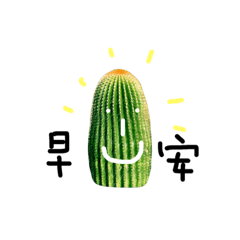 [LINEスタンプ] cactus everyday