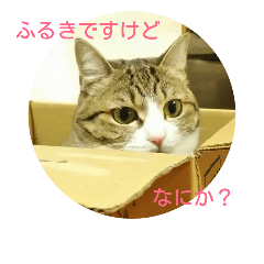 [LINEスタンプ] ふるきです