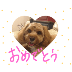 [LINEスタンプ] たいがのきもち