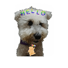 [LINEスタンプ] tweety's dog part 2