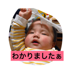 [LINEスタンプ] たろさんの日常①