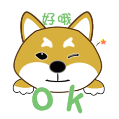 [LINEスタンプ] 柴犬マモル_守柴奴ショウ チャイ ヌウ