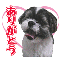 [LINEスタンプ] 癒しの究極❤宇宙・海実・陸来