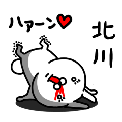 [LINEスタンプ] 北川専用うさぎ名前スタンプ