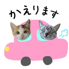 [LINEスタンプ] 日常にゃんこたち2