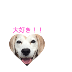 [LINEスタンプ] LOVE JIRO