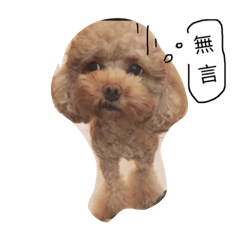 [LINEスタンプ] meimei dog