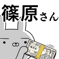 [LINEスタンプ] 篠原さんの為の使えるスタンプの画像（メイン）