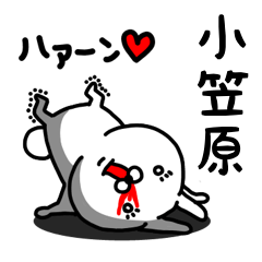 [LINEスタンプ] 小笠原専用うさぎ名前スタンプ