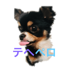 [LINEスタンプ] チワワのルーゴロ3..