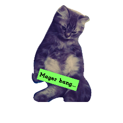 [LINEスタンプ] willi's marble cat