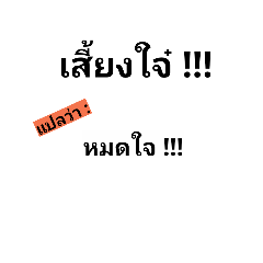 [LINEスタンプ] ChiangMai