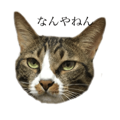 [LINEスタンプ] あるそわ