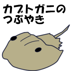 [LINEスタンプ] カブトガニのつぶやきの画像（メイン）