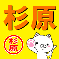 [LINEスタンプ] 超★杉原(すぎはら・スギハラ)なネコ