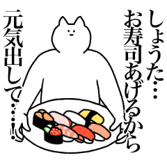 [LINEスタンプ] しょうたに送るスタンプ【使いやすい】