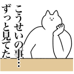 [LINEスタンプ] こうせいに送るスタンプ【使いやすい】