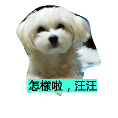 [LINEスタンプ] QQ QQ