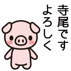 [LINEスタンプ] 寺尾さんと寺尾さんの友達用