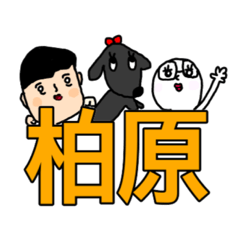 [LINEスタンプ] 柏原さん家