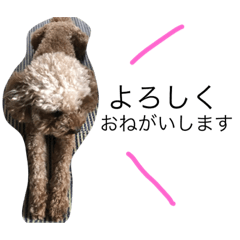 [LINEスタンプ] もろたろう