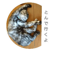 [LINEスタンプ] リリーな行動