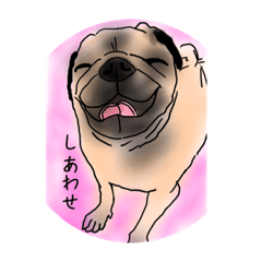 [LINEスタンプ] パグ生活