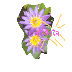 [LINEスタンプ] Flower for you