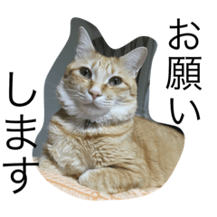 [LINEスタンプ] レオンと一緒3