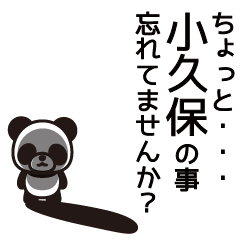 [LINEスタンプ] 小久保さんと小久保さんの友達用