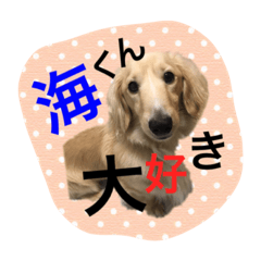 [LINEスタンプ] 愛犬シンバ