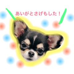 [LINEスタンプ] ツナとビアの鹿児島弁