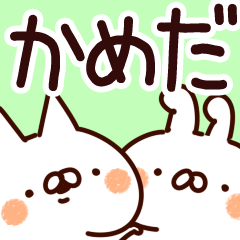 [LINEスタンプ] 【かめだ】専用の画像（メイン）