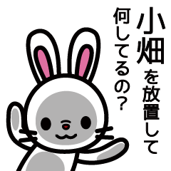 [LINEスタンプ] 小畑さんと小畑さんの友達用