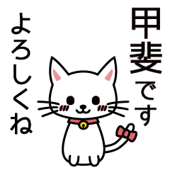 [LINEスタンプ] 甲斐さんと甲斐さんの友達用