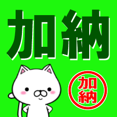 [LINEスタンプ] 超★加納(かのう・カノウ)なネコの画像（メイン）