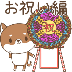 [LINEスタンプ] 柴犬のシバさん3