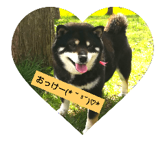 [LINEスタンプ] suzukisantinoshibainu