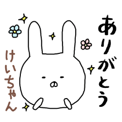 [LINEスタンプ] けいちゃん専用スタンプ（うさぎ）